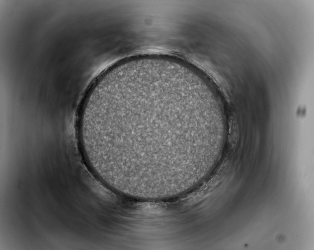 X0000103951404200810101428