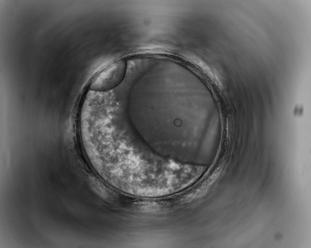 X0000103951405200810101428