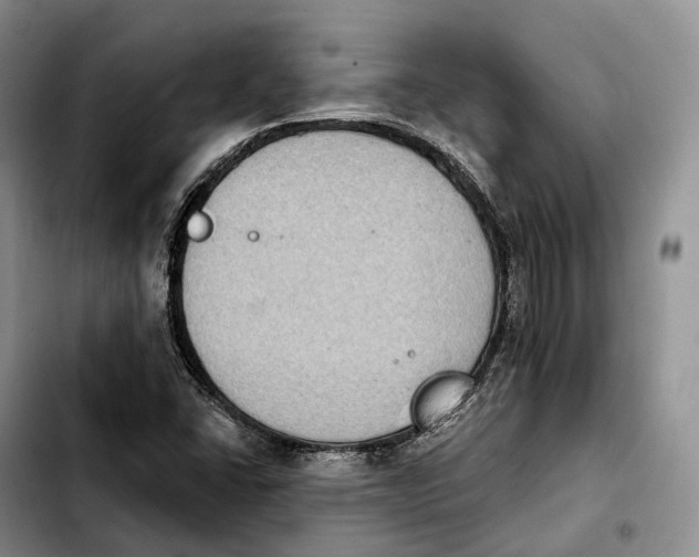 X0000103951406200810101428