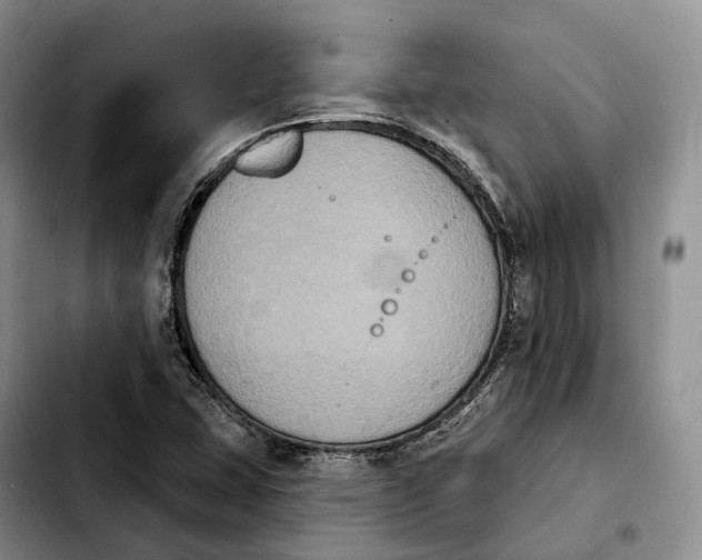 X0000103951407200810101428