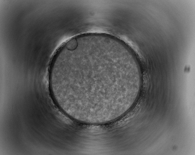 X0000103951408200810101428