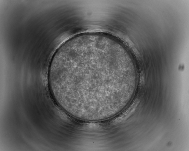 X0000103951409200810101428