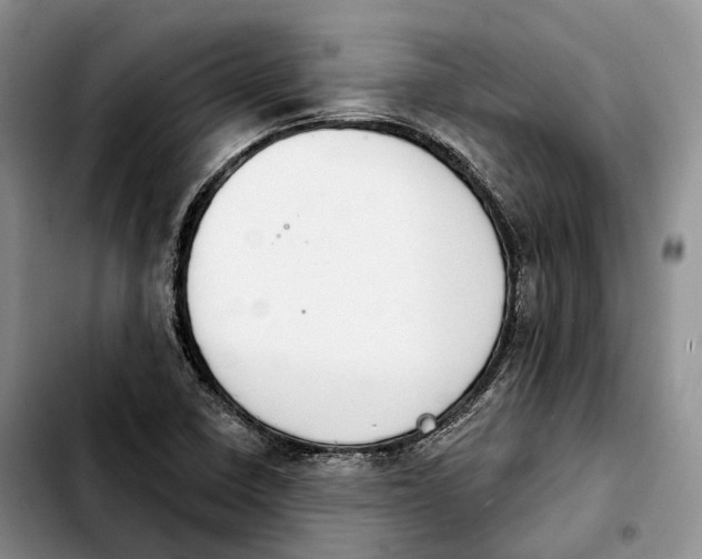 X0000103951410200810101428