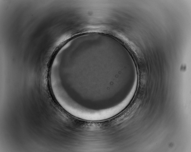 X0000103951411200810101428