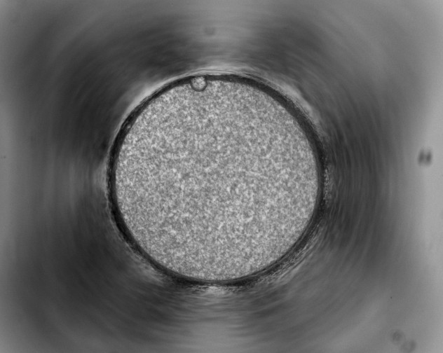 X0000103951412200810101428