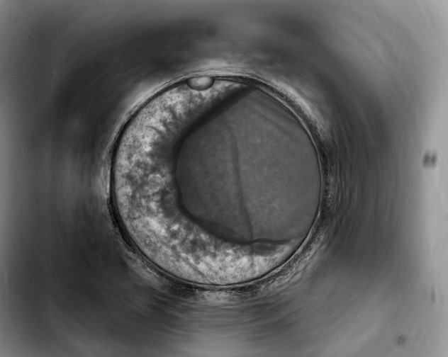 X0000103951413200810101428