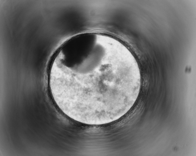 X0000103951414200810101428