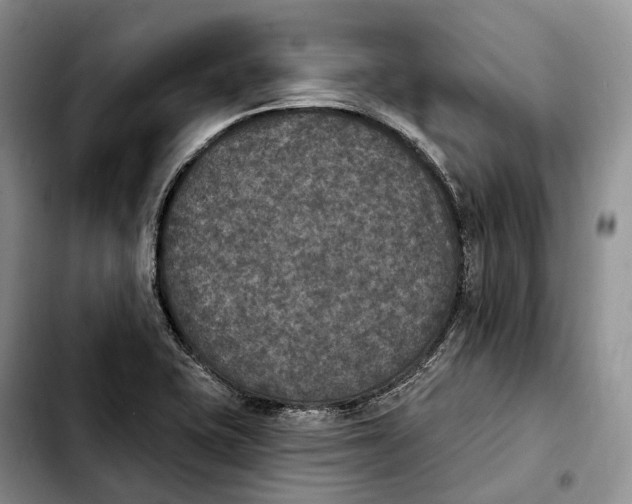 X0000103951415200810101428