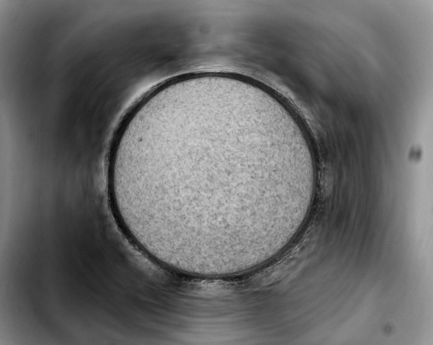 X0000103951416200810101428