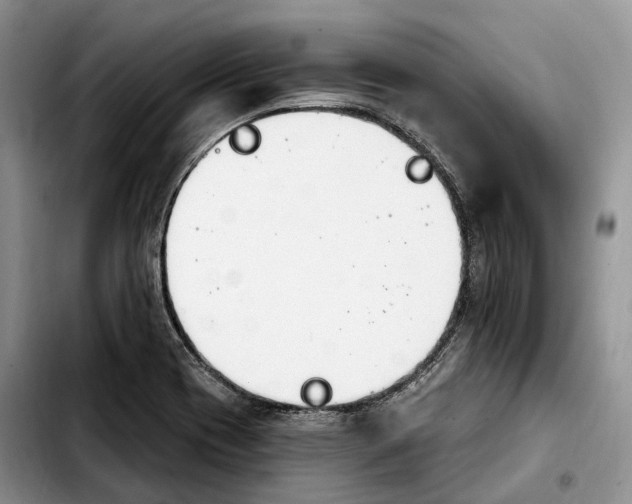 X0000103951417200810101428