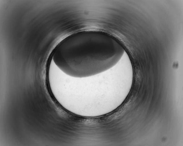 X0000103951418200810101428