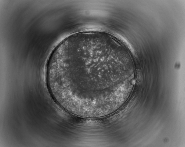 X0000103951419200810101428