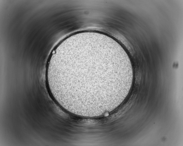 X0000103951420200810101428