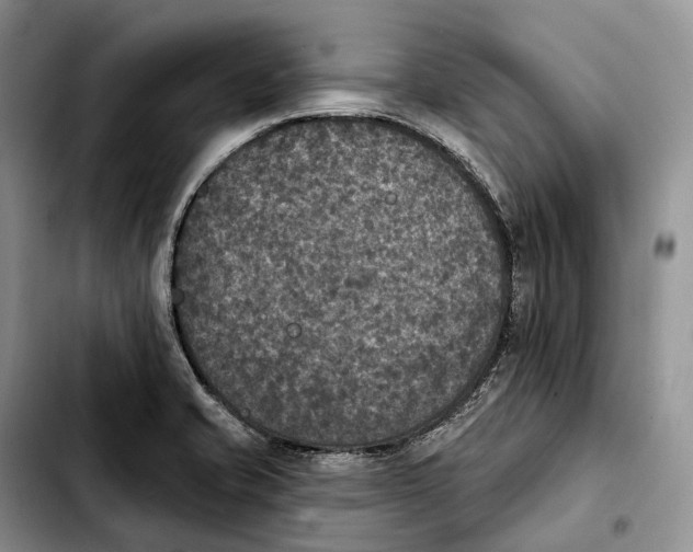 X0000103951421200810101428