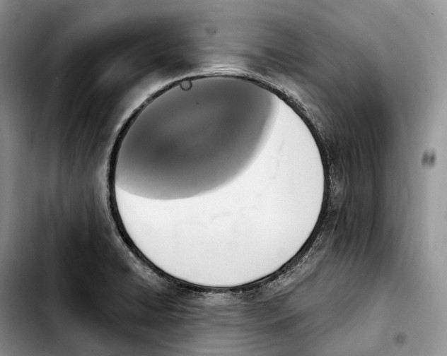 X0000103951422200810101428