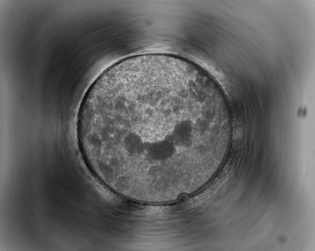 X0000103951423200810101428