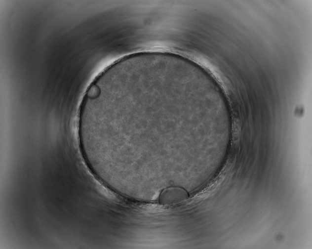 X0000103951424200810101428