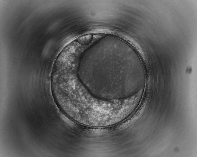 X0000103951425200810101428