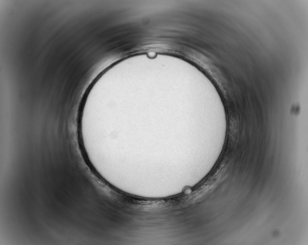 X0000103951426200810101428