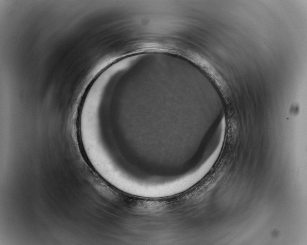 X0000103951427200810101428