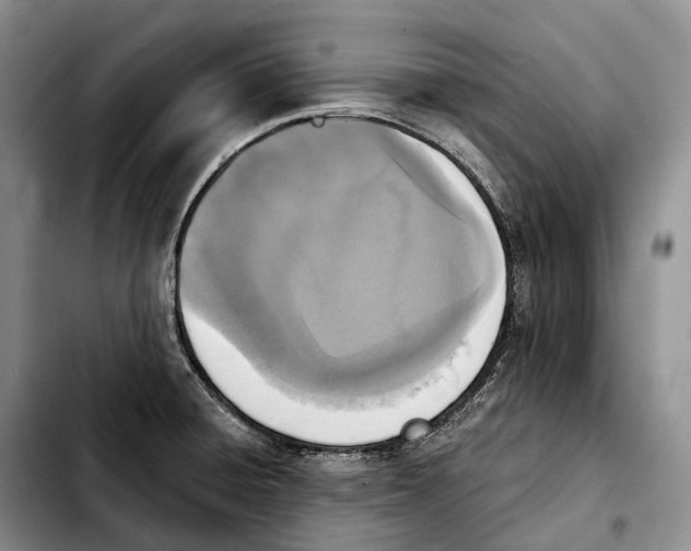 X0000103951428200810101428