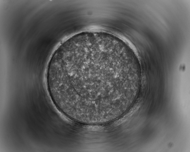 X0000103951429200810101428