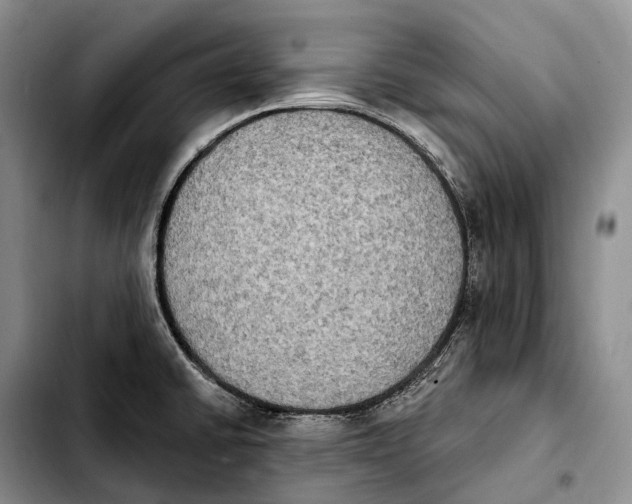 X0000103951430200810101428