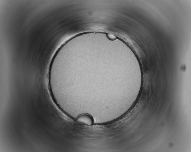 X0000103951432200810101428