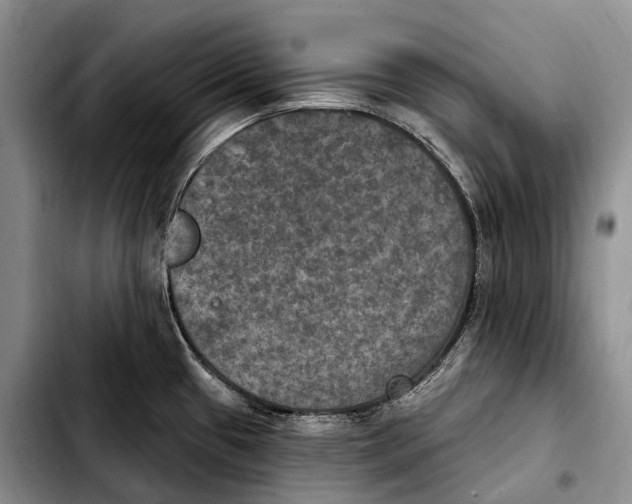 X0000103951433200810101428