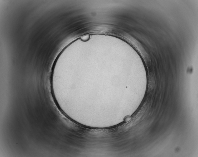 X0000103951434200810101428