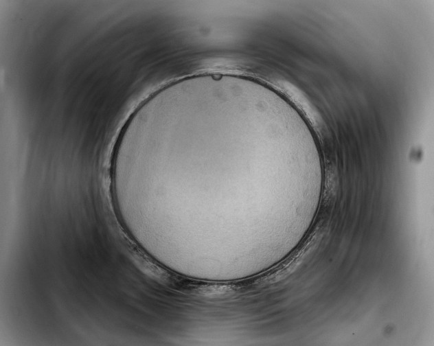 X0000103951435200810101428