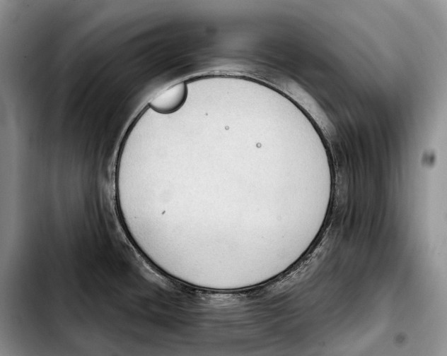 X0000103951436200810101428