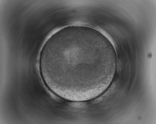 X0000103951437200810101428