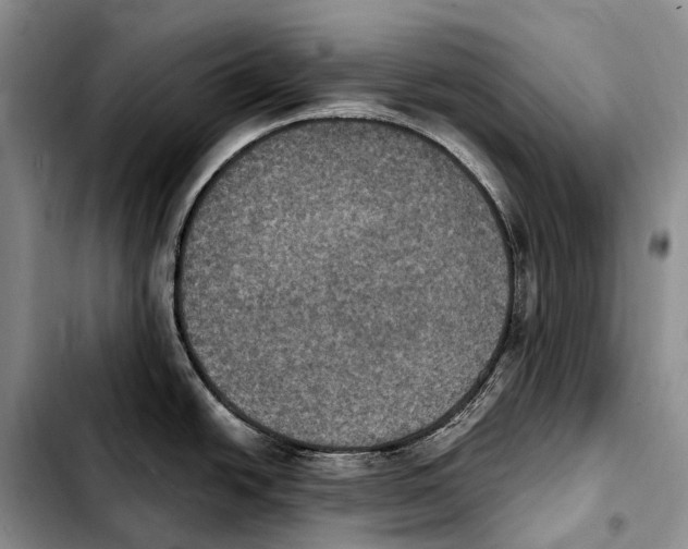 X0000103951438200810101428