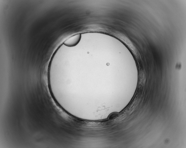 X0000103951439200810101428