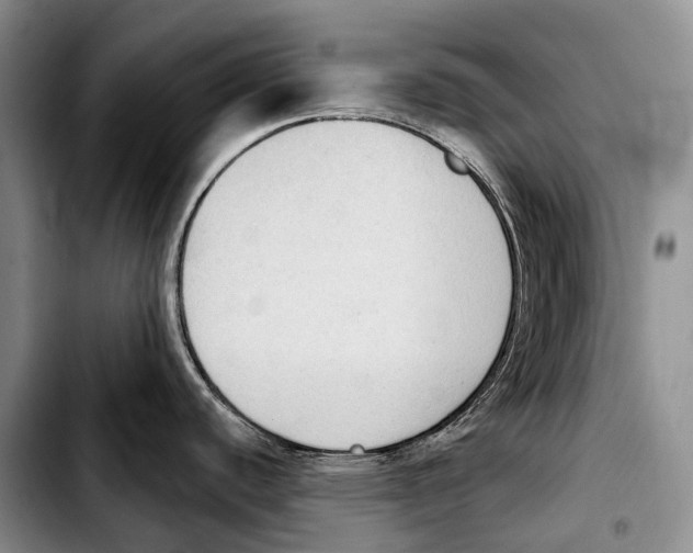 X0000103951440200810101428