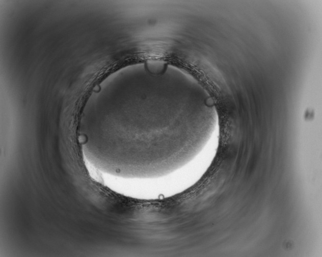 X0000103951441200810101428