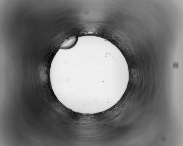 X0000103951442200810101428