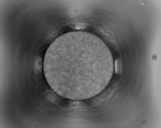 X0000103951443200810101428