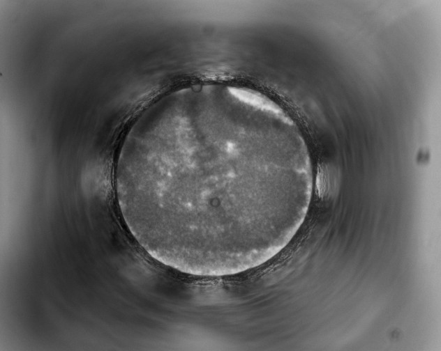 X0000103951444200810101428