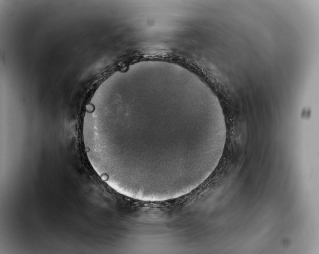 X0000103951445200810101428