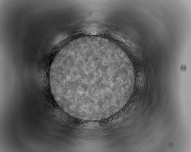 X0000103951446200810101427