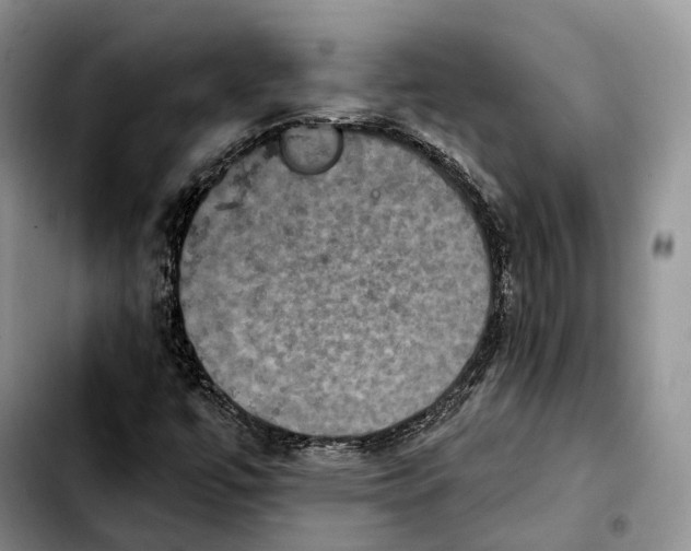 X0000103951447200810101427