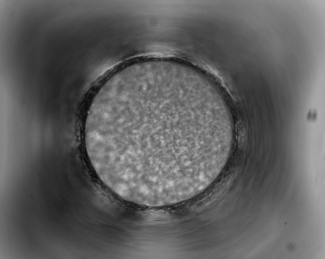 X0000103951448200810101427