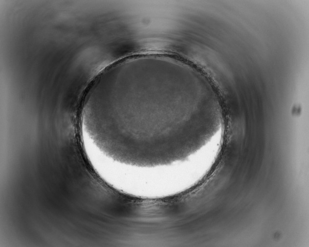 X0000103951449200810101427