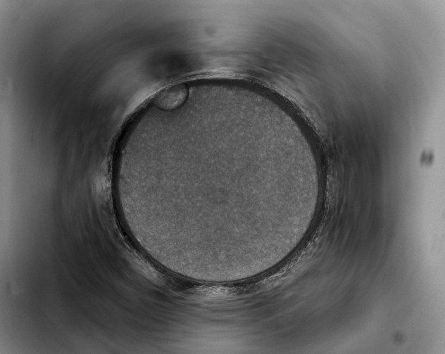 X0000103951450200810101427