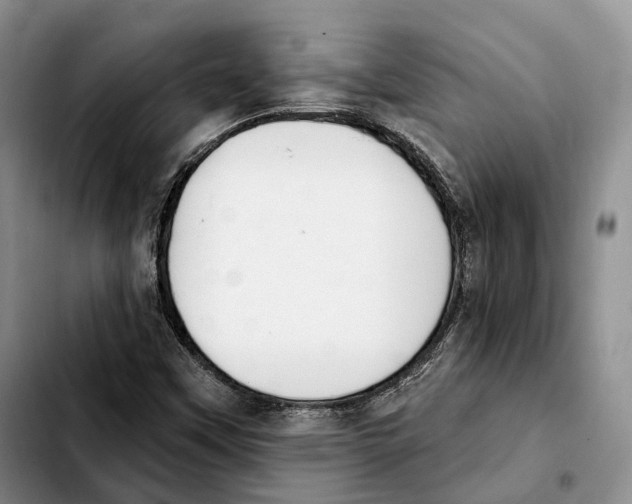 X0000103951451200810101427