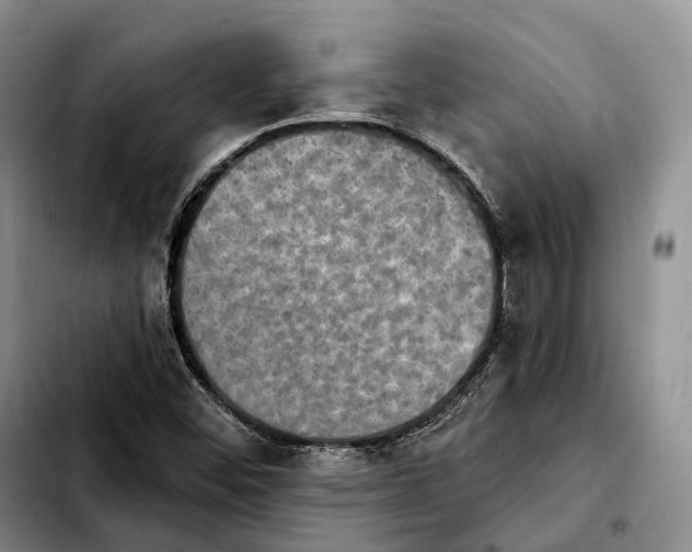 X0000103951452200810101427