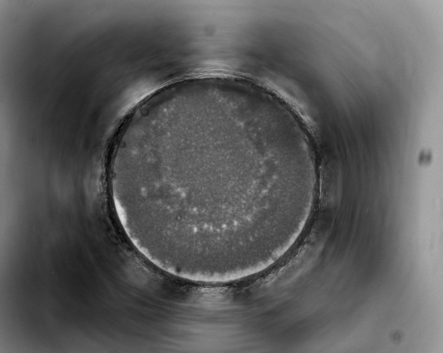 X0000103951453200810101427