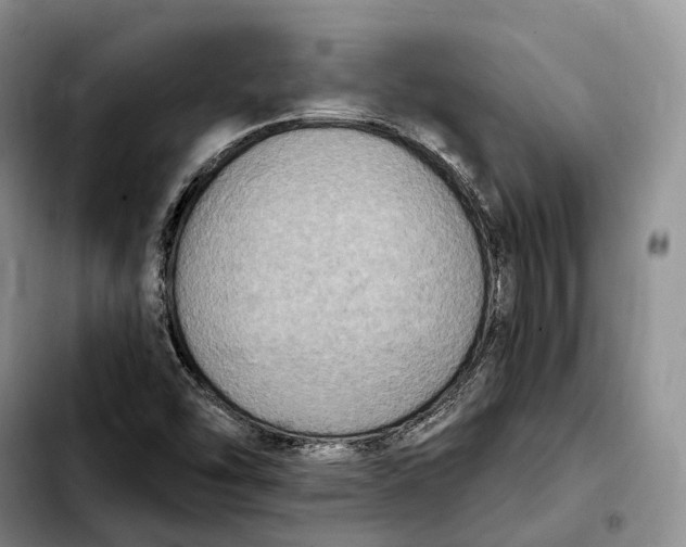 X0000103951454200810101427